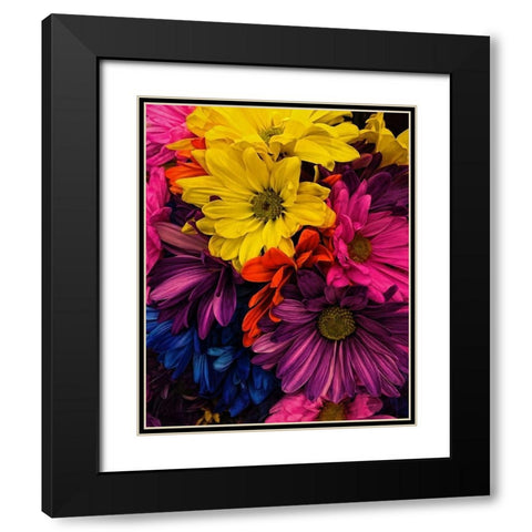 Riot  of Color Black Modern Wood Framed Art Print with Double Matting by Manelis, Jessica