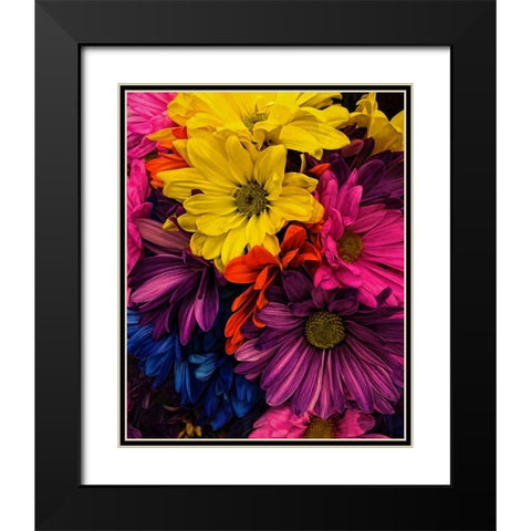 Riot  of Color Black Modern Wood Framed Art Print with Double Matting by Manelis, Jessica