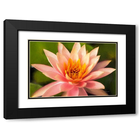 Beauty  of the World Black Modern Wood Framed Art Print with Double Matting by Manelis, Jessica