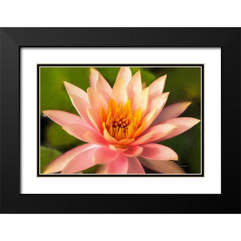 Beauty  of the World Black Modern Wood Framed Art Print with Double Matting by Manelis, Jessica
