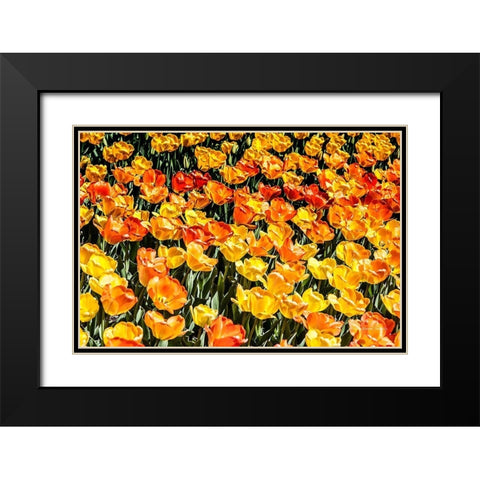 Tulip  Wave Black Modern Wood Framed Art Print with Double Matting by Manelis, Jessica
