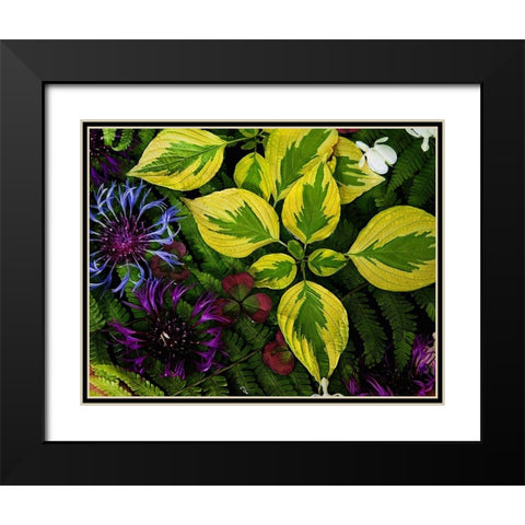 Welcome  to the Jungle Black Modern Wood Framed Art Print with Double Matting by Manelis, Jessica
