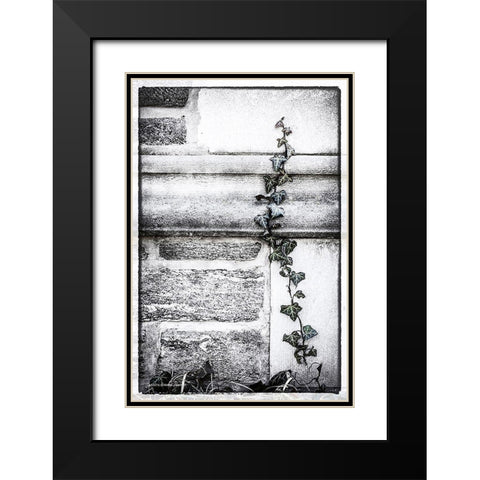 Ivy  League Black Modern Wood Framed Art Print with Double Matting by Manelis, Jessica