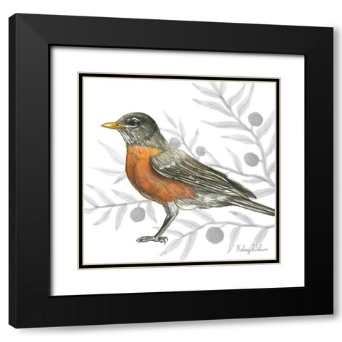 Backyard Birds VI-Robin Black Modern Wood Framed Art Print with Double Matting by Wilson, Kelsey