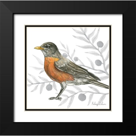 Backyard Birds VI-Robin Black Modern Wood Framed Art Print with Double Matting by Wilson, Kelsey