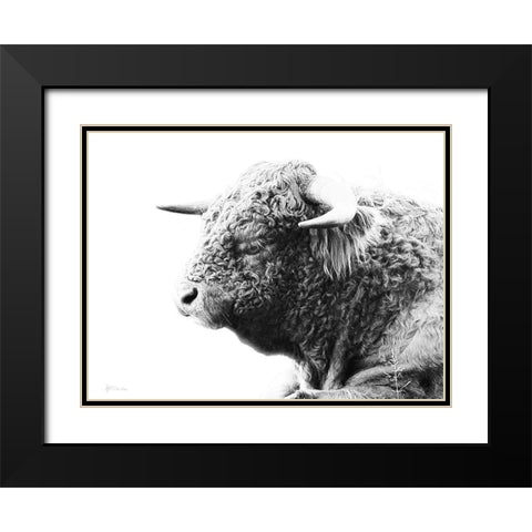 My Highland II Black Modern Wood Framed Art Print with Double Matting by Cusson, Marie Elaine