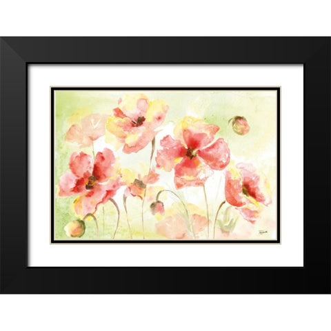 Pale Pink Poppies Landscape Black Modern Wood Framed Art Print with Double Matting by Tre Sorelle Studios