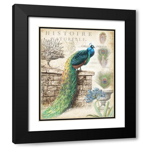 Vintage Peacocks I Black Modern Wood Framed Art Print with Double Matting by Tre Sorelle Studios