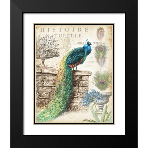 Vintage Peacocks I Black Modern Wood Framed Art Print with Double Matting by Tre Sorelle Studios