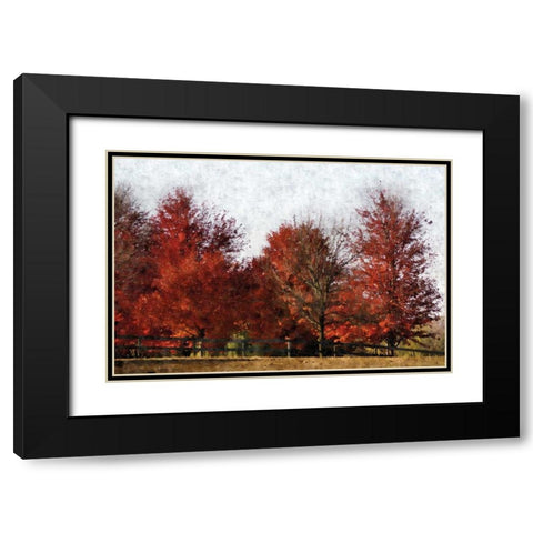 Fall Reds Black Modern Wood Framed Art Print with Double Matting by Romita, Denise
