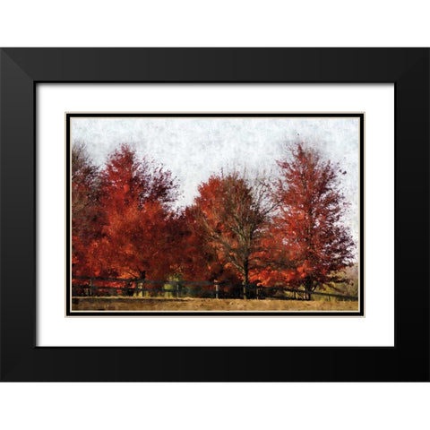 Fall Reds Black Modern Wood Framed Art Print with Double Matting by Romita, Denise