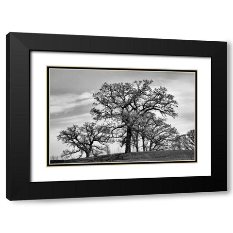 Parkside Black Modern Wood Framed Art Print with Double Matting by Romita, Denise