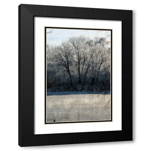 Ice Mist Black Modern Wood Framed Art Print with Double Matting by Romita, Denise
