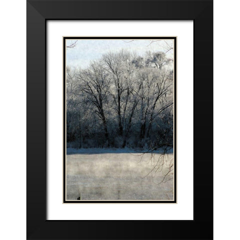 Ice Mist Black Modern Wood Framed Art Print with Double Matting by Romita, Denise