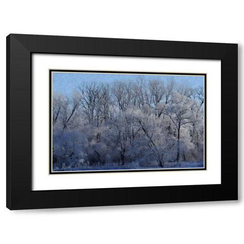 Ice Land Black Modern Wood Framed Art Print with Double Matting by Romita, Denise
