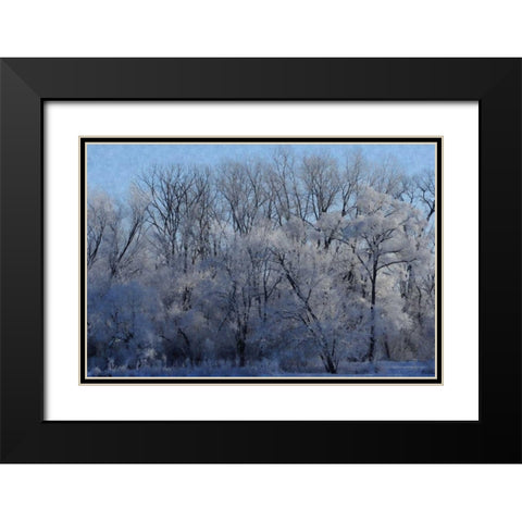 Ice Land Black Modern Wood Framed Art Print with Double Matting by Romita, Denise