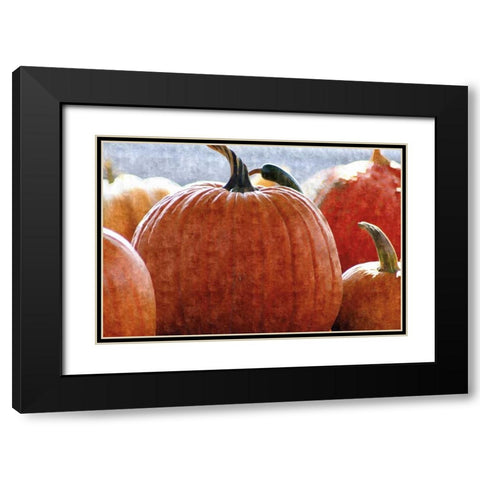Fall Pumpkin Black Modern Wood Framed Art Print with Double Matting by Romita, Denise