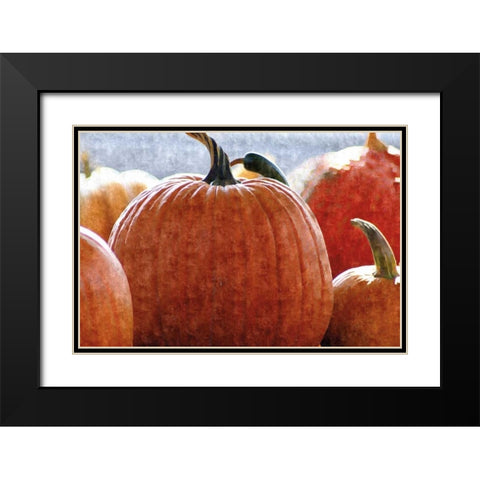 Fall Pumpkin Black Modern Wood Framed Art Print with Double Matting by Romita, Denise
