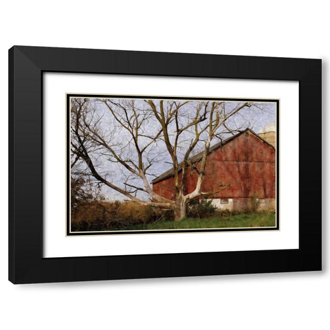 The Old Barn Black Modern Wood Framed Art Print with Double Matting by Romita, Denise