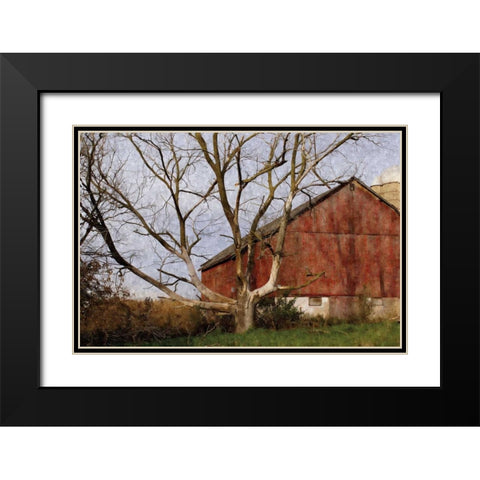 The Old Barn Black Modern Wood Framed Art Print with Double Matting by Romita, Denise