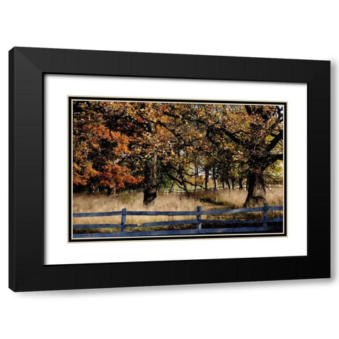 Fenced In Black Modern Wood Framed Art Print with Double Matting by Romita, Denise