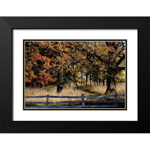 Fenced In Black Modern Wood Framed Art Print with Double Matting by Romita, Denise