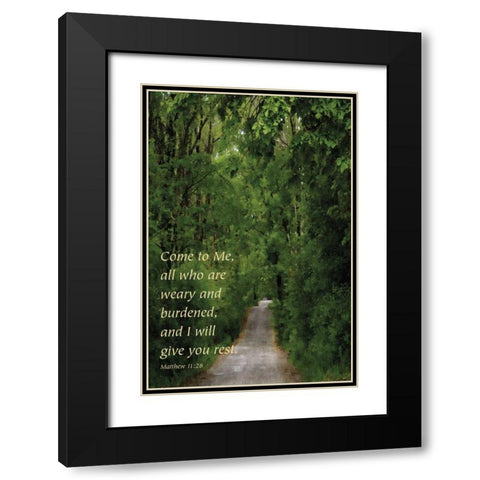 Through the Trees I Black Modern Wood Framed Art Print with Double Matting by Romita, Denise
