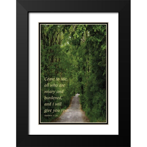 Through the Trees I Black Modern Wood Framed Art Print with Double Matting by Romita, Denise