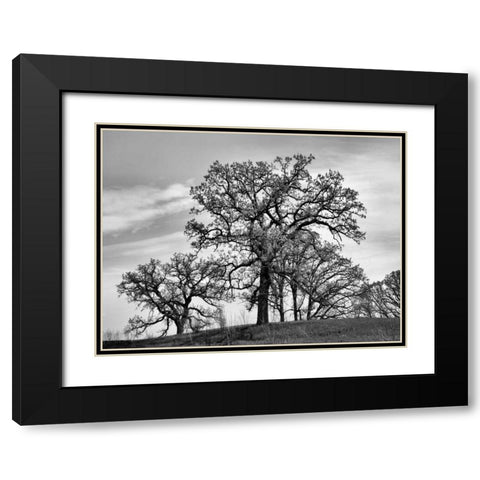 Parkside Black Modern Wood Framed Art Print with Double Matting by Romita, Denise
