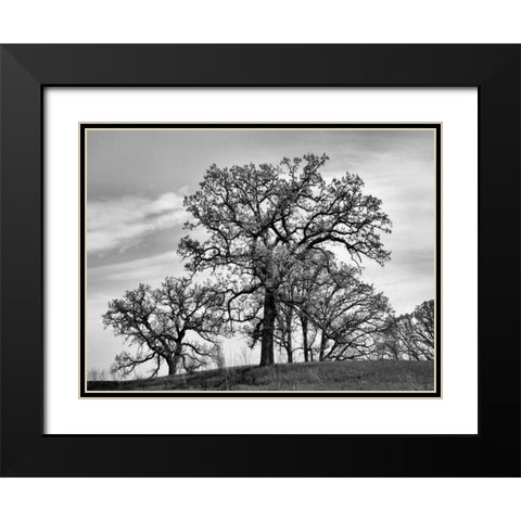 Parkside Black Modern Wood Framed Art Print with Double Matting by Romita, Denise
