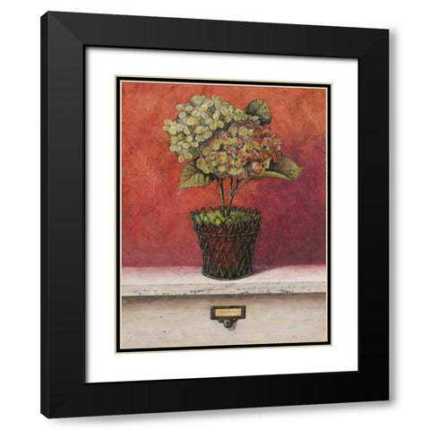 Hortensia Study Black Modern Wood Framed Art Print with Double Matting by Fisk, Arnie