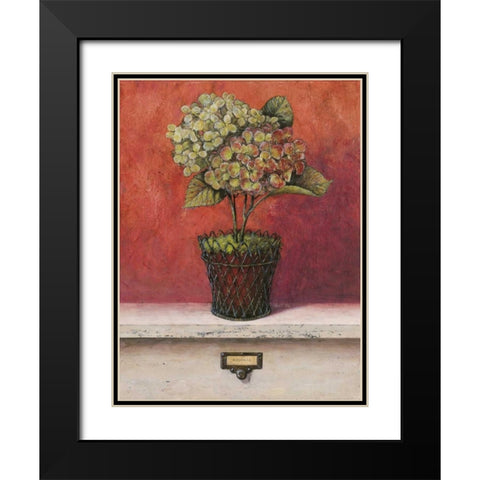 Hortensia Study Black Modern Wood Framed Art Print with Double Matting by Fisk, Arnie