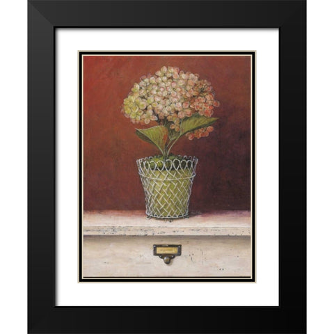 Hydrangea Study Black Modern Wood Framed Art Print with Double Matting by Fisk, Arnie