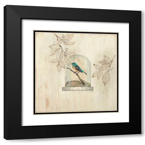 Aviary Display Black Modern Wood Framed Art Print with Double Matting by Fisk, Arnie