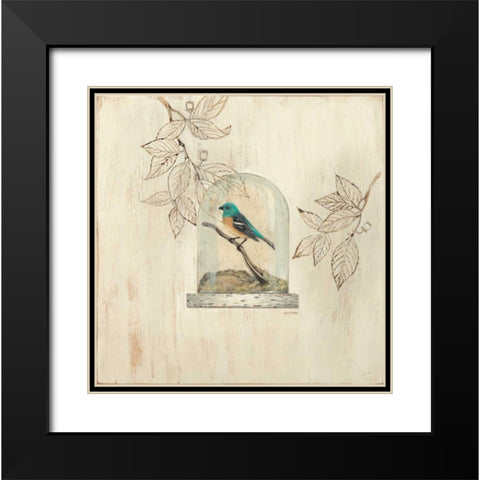 Aviary Display Black Modern Wood Framed Art Print with Double Matting by Fisk, Arnie