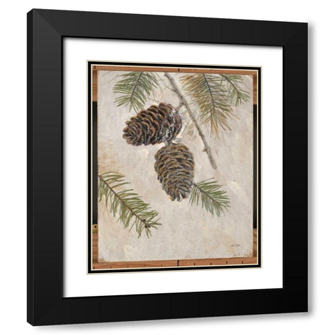 Rustic Pine Cones Black Modern Wood Framed Art Print with Double Matting by Fisk, Arnie