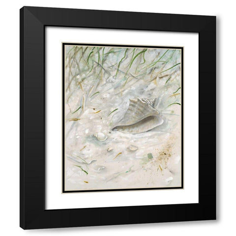 Seaside ConchÂ  Black Modern Wood Framed Art Print with Double Matting by FISK, Arnie