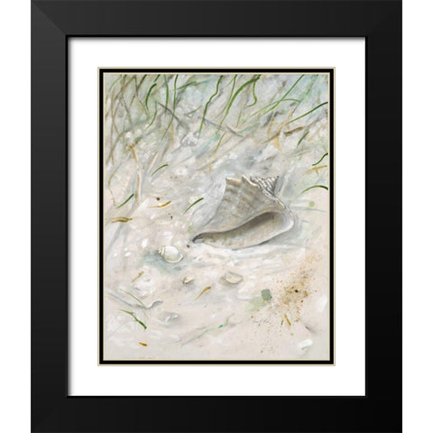 Seaside ConchÂ  Black Modern Wood Framed Art Print with Double Matting by FISK, Arnie