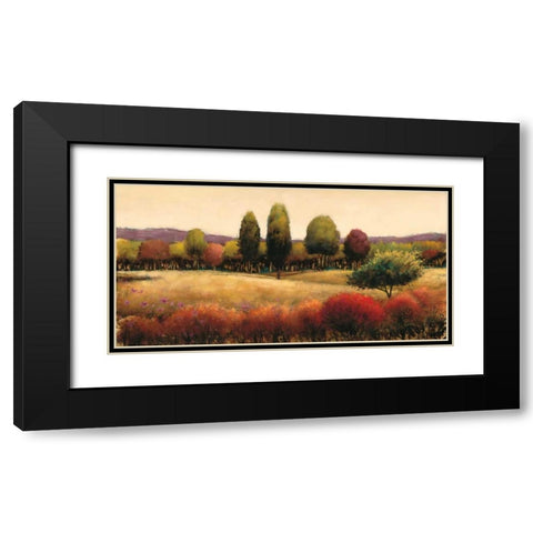 Vista Black Modern Wood Framed Art Print with Double Matting by Wiens, James