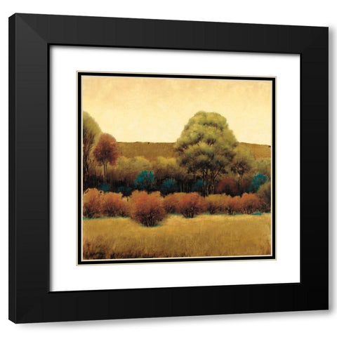 Amber Horizon 2 Black Modern Wood Framed Art Print with Double Matting by Wiens, James