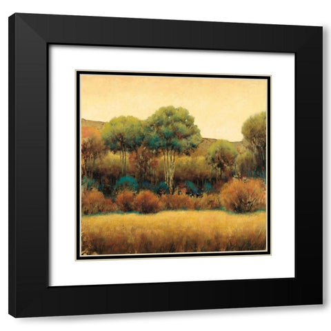 Amber Horizon 1 Black Modern Wood Framed Art Print with Double Matting by Wiens, James