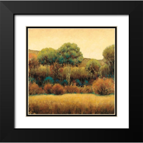 Amber Horizon 1 Black Modern Wood Framed Art Print with Double Matting by Wiens, James