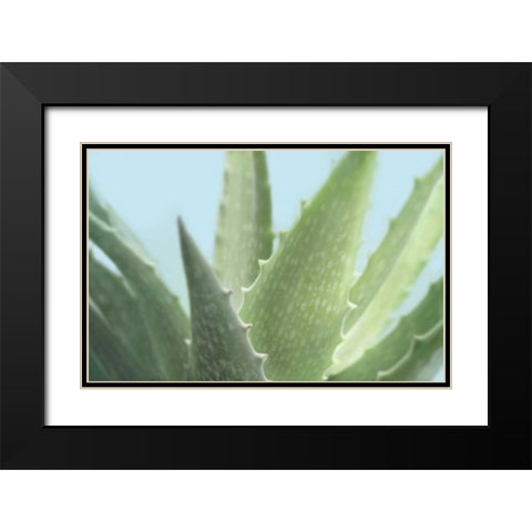 Soft Focus Succulent 1 Black Modern Wood Framed Art Print with Double Matting by Greenwood, Julie