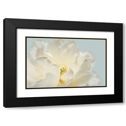 Now Serene Black Modern Wood Framed Art Print with Double Matting by Greenwood, Julie