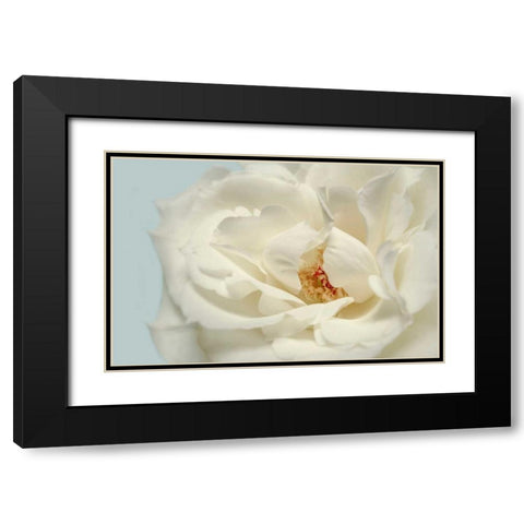 Now Calm Black Modern Wood Framed Art Print with Double Matting by Greenwood, Julie