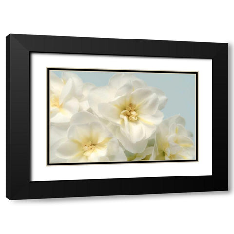 Winter Whites Black Modern Wood Framed Art Print with Double Matting by Greenwood, Julie