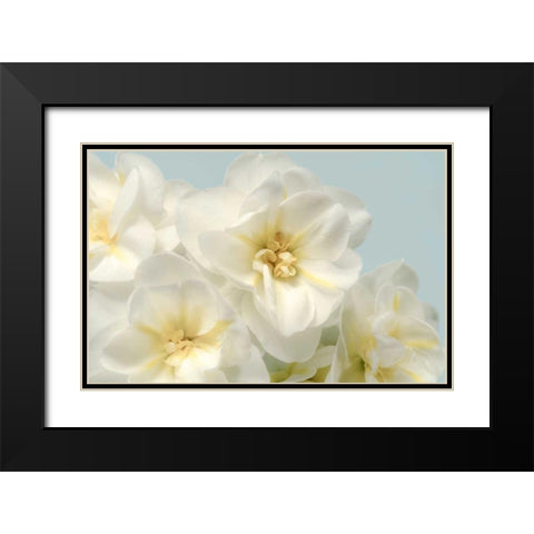 Winter Whites Black Modern Wood Framed Art Print with Double Matting by Greenwood, Julie