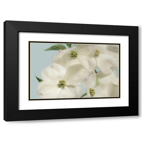 Spring Whites Black Modern Wood Framed Art Print with Double Matting by Greenwood, Julie