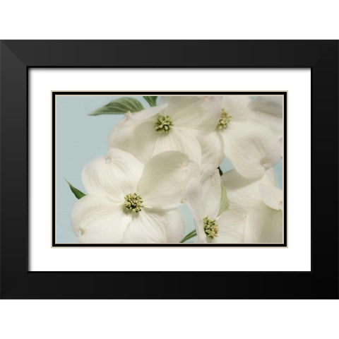 Spring Whites Black Modern Wood Framed Art Print with Double Matting by Greenwood, Julie