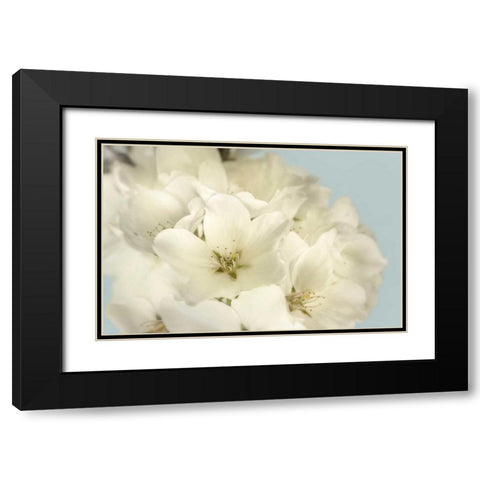 Summer Whites Black Modern Wood Framed Art Print with Double Matting by Greenwood, Julie